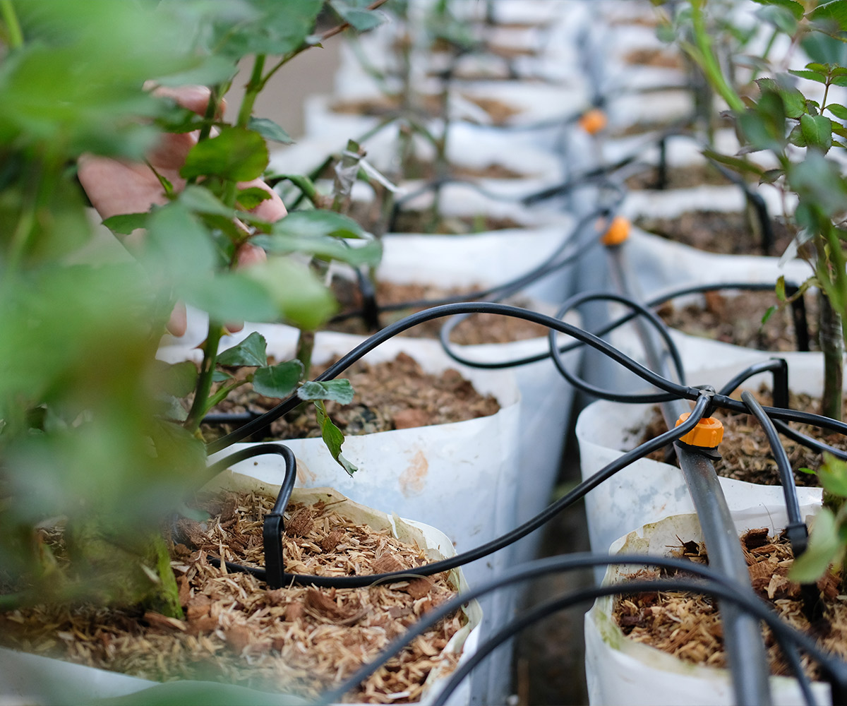 Sustainable investing ESG investments Citi Private Bank